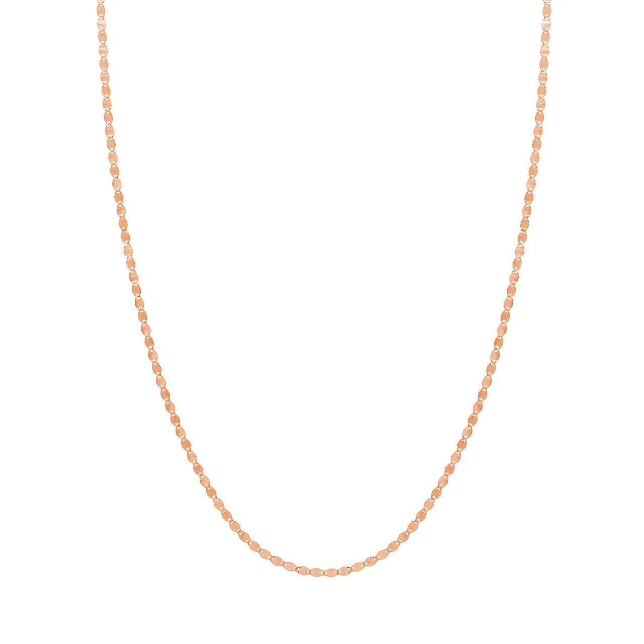 14K Gold Valentina Choker Chain Necklace