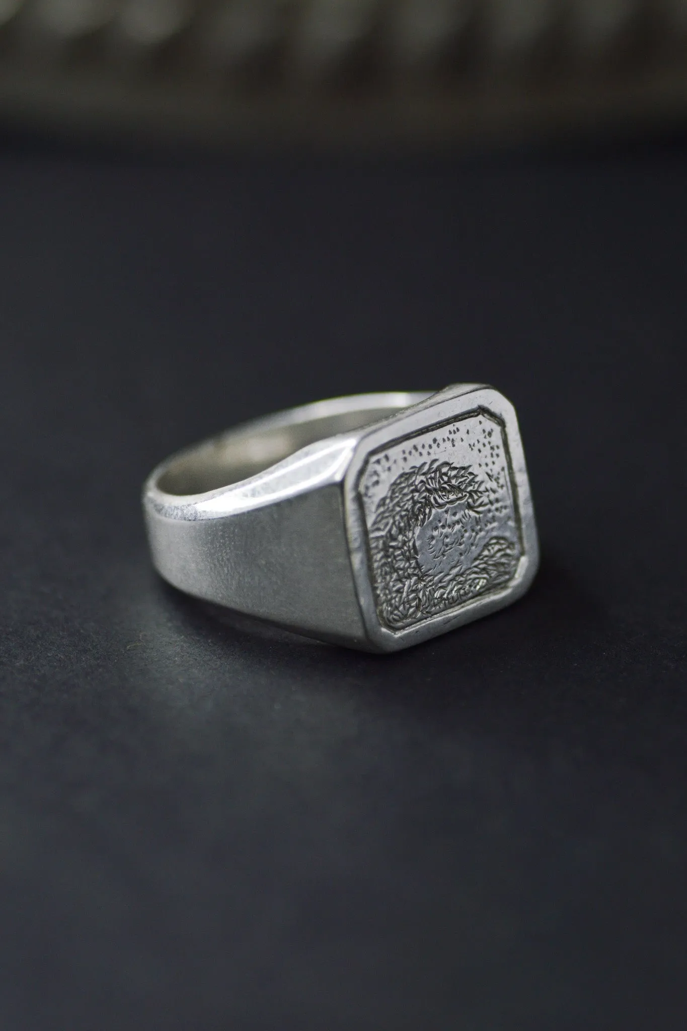 Arvan Wave Signet Ring