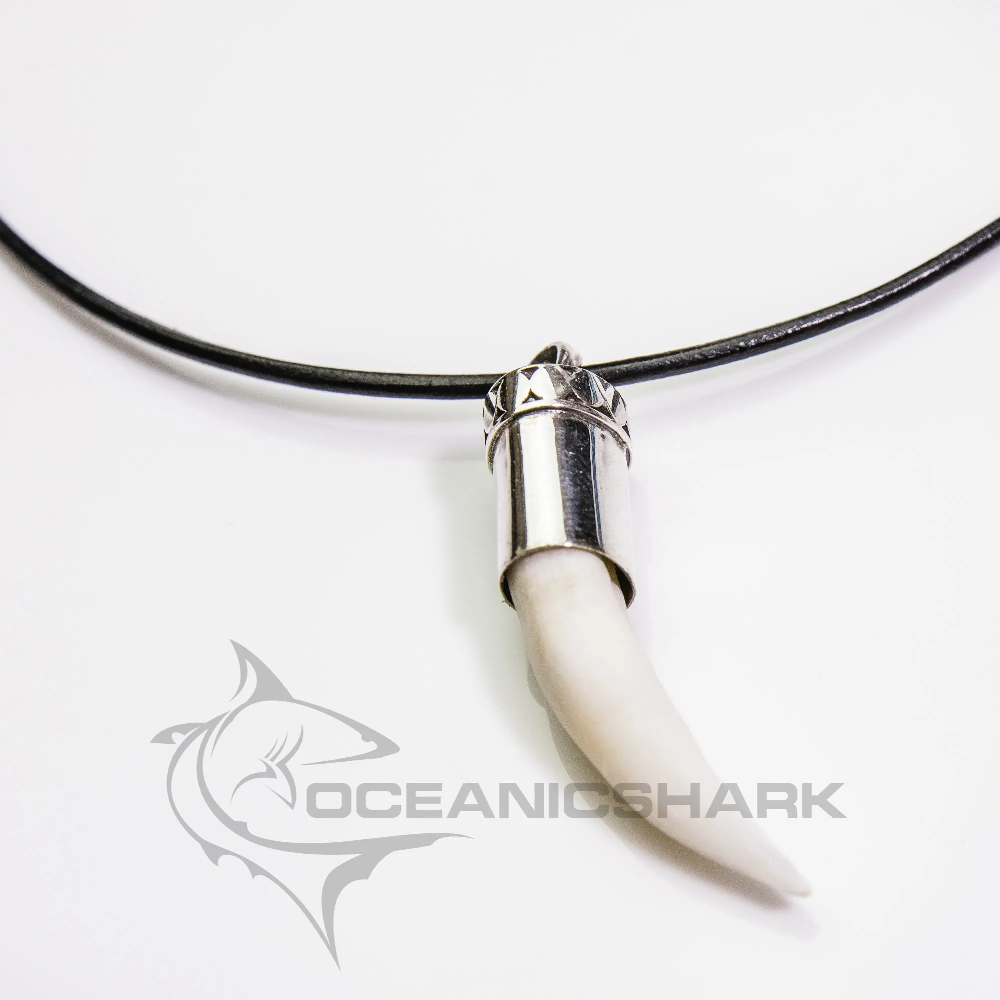 Crocodile Tooth in Silver s35