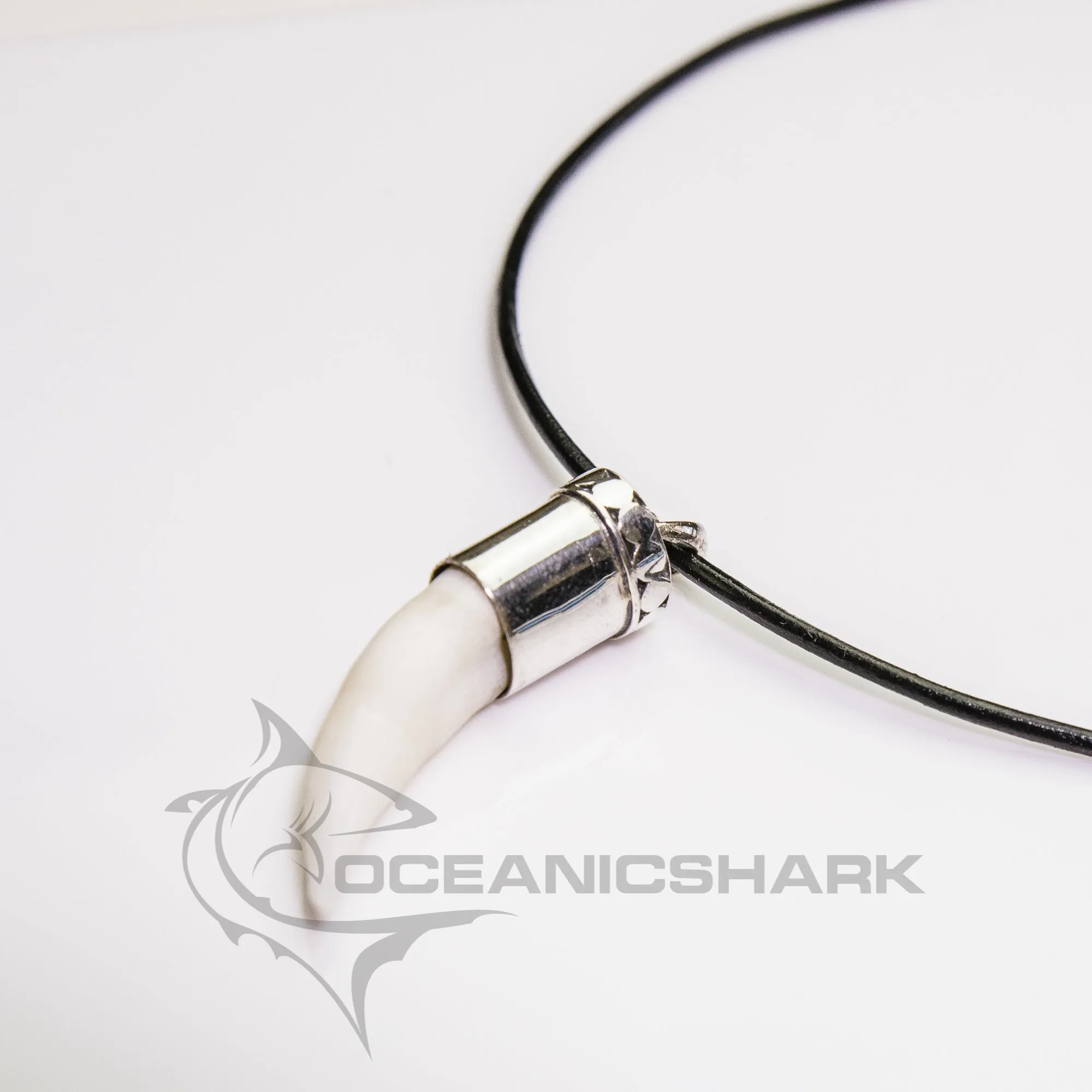 Crocodile Tooth in Silver s35