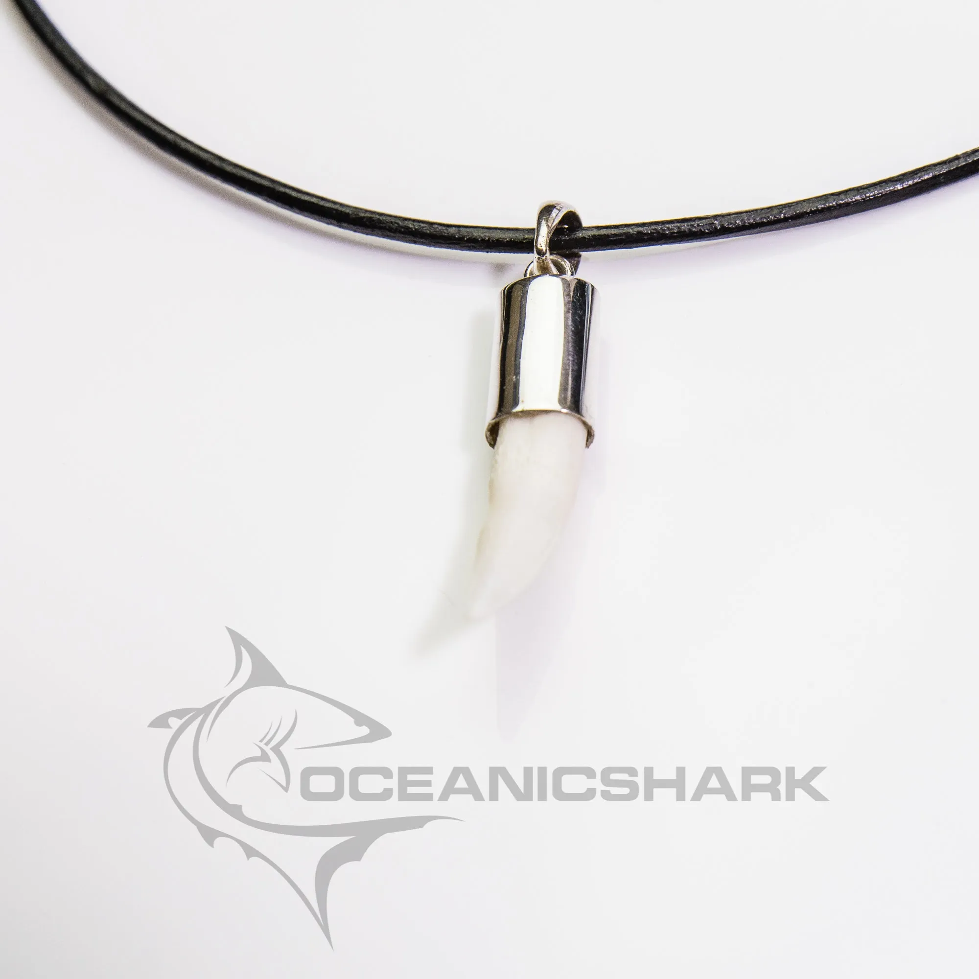 Crocodile Tooth Necklace s37