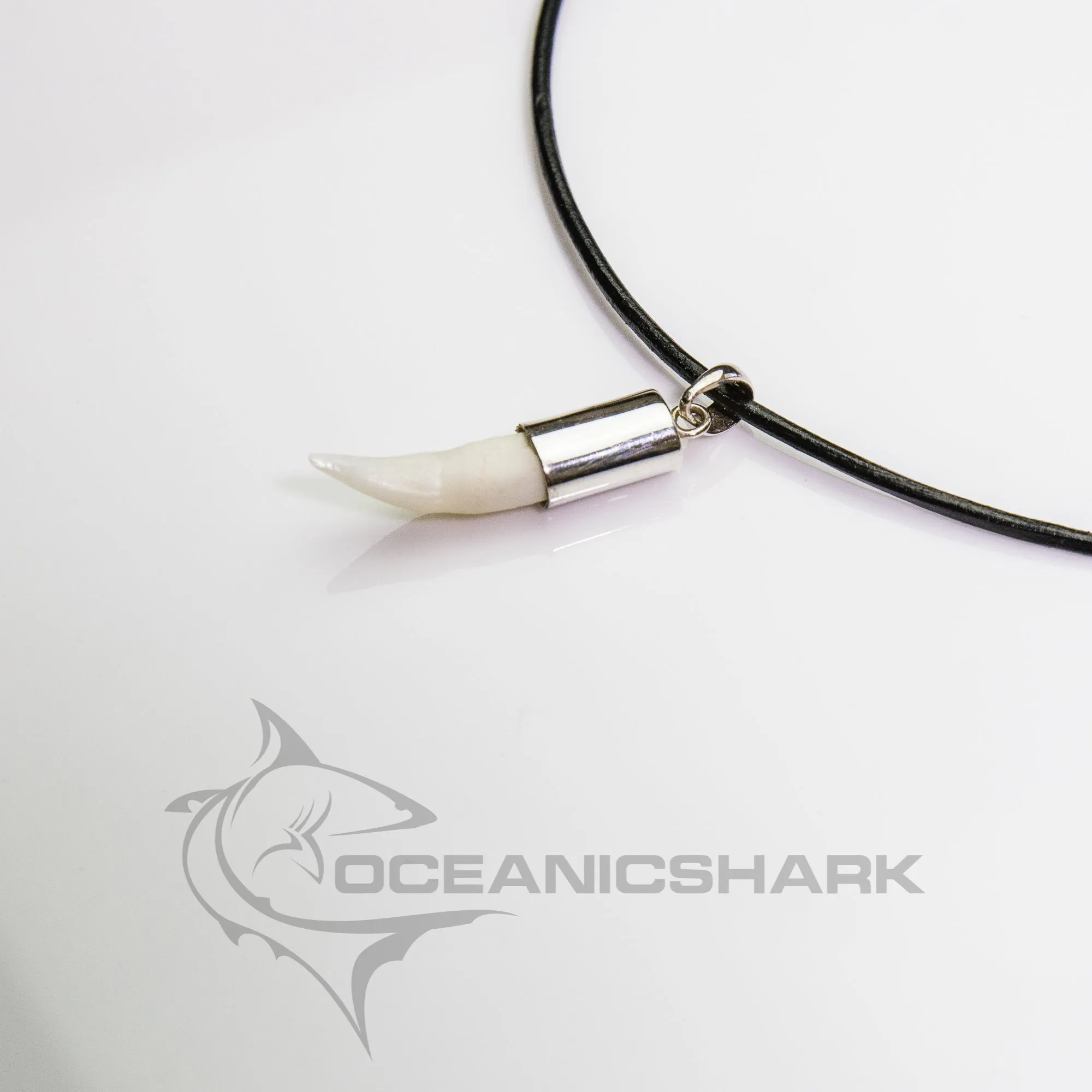 Crocodile Tooth Necklace s37