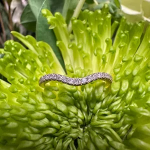 Curve Diamond Band 14K Yellow Gold Ring KAS EN7670-B10Y