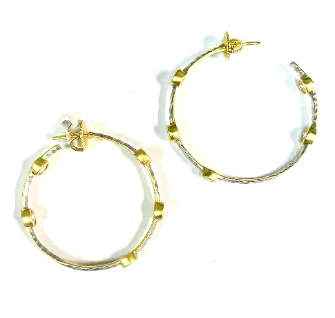 Freida Rothman Starry Night Hoop Earrings - Gold & Silver