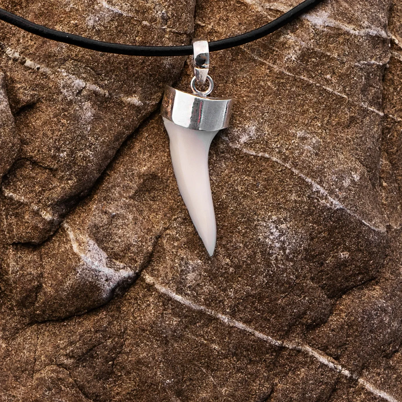 Mako Shark Tooth Pendant s30