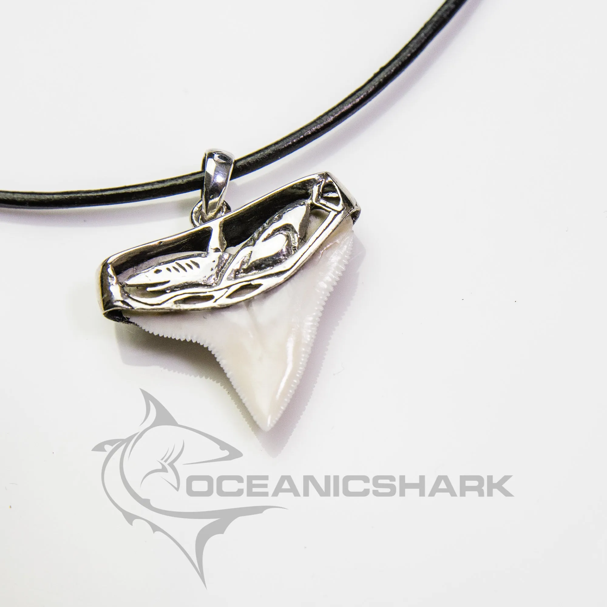 Shark Tooth In Carved Silver s2