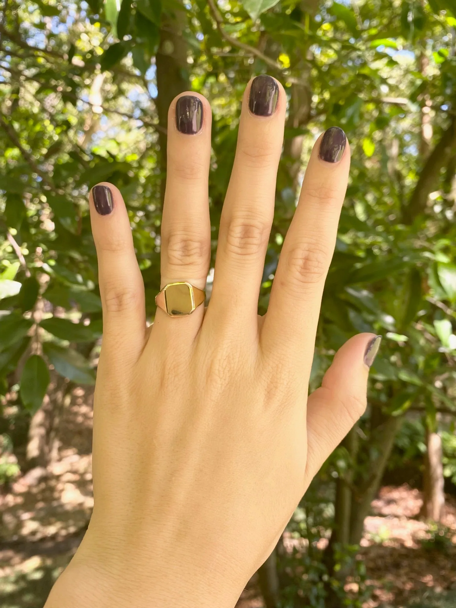 Signet Rectangular Engravable Ring