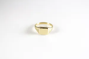 SIGNET: REFLECTION - Horizontal