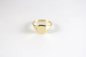 SIGNET: REFLECTION - Vertical