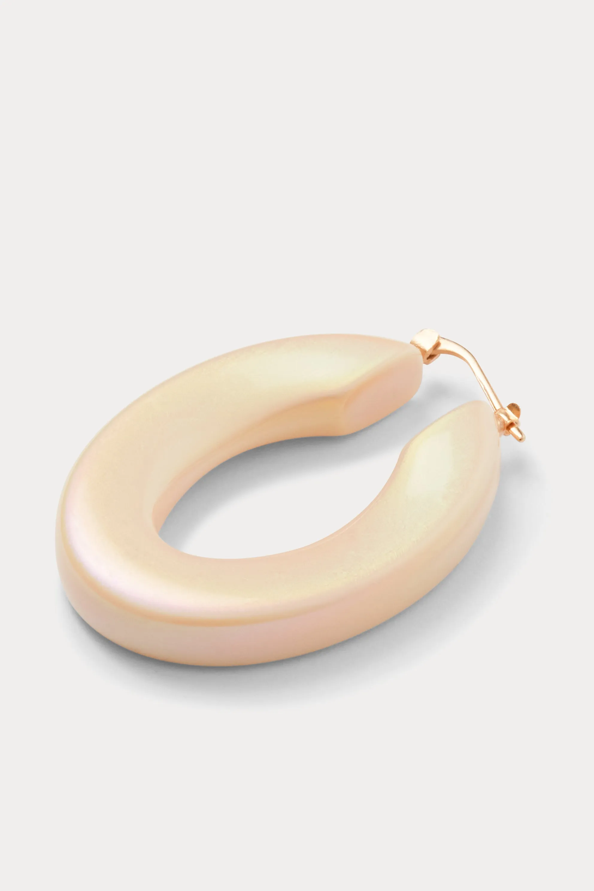 Sly Earring