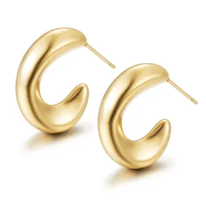 The Dani Gold Earrings