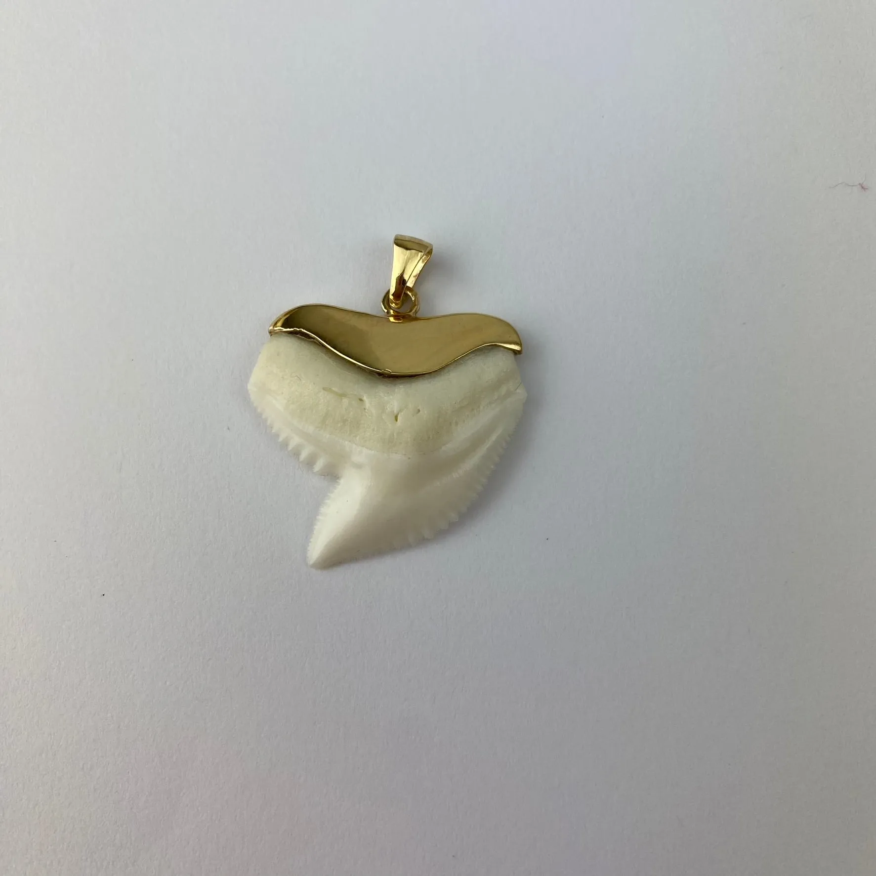 Tiger Shark Tooth Necklace Gold