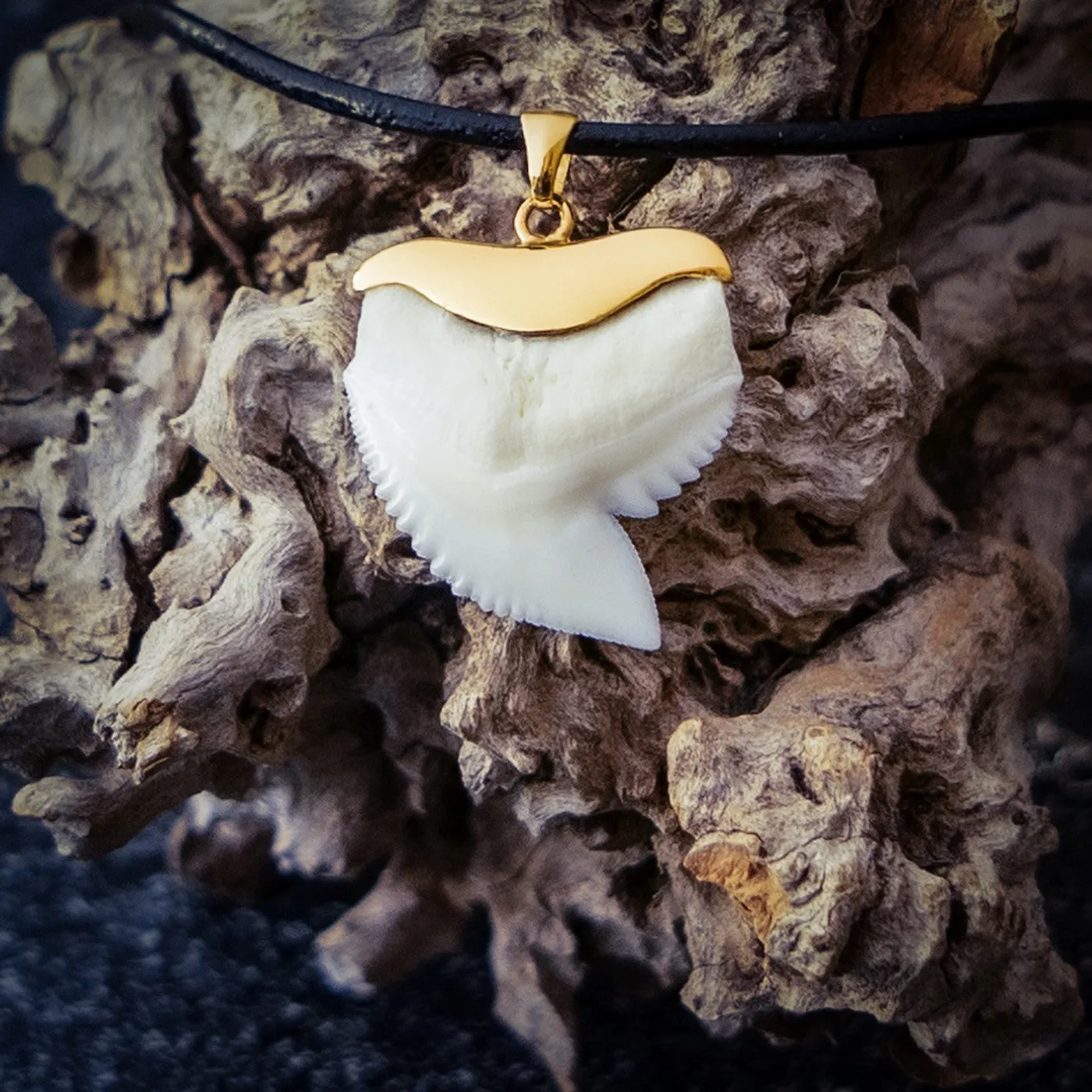 Tiger Shark Tooth Necklace Gold