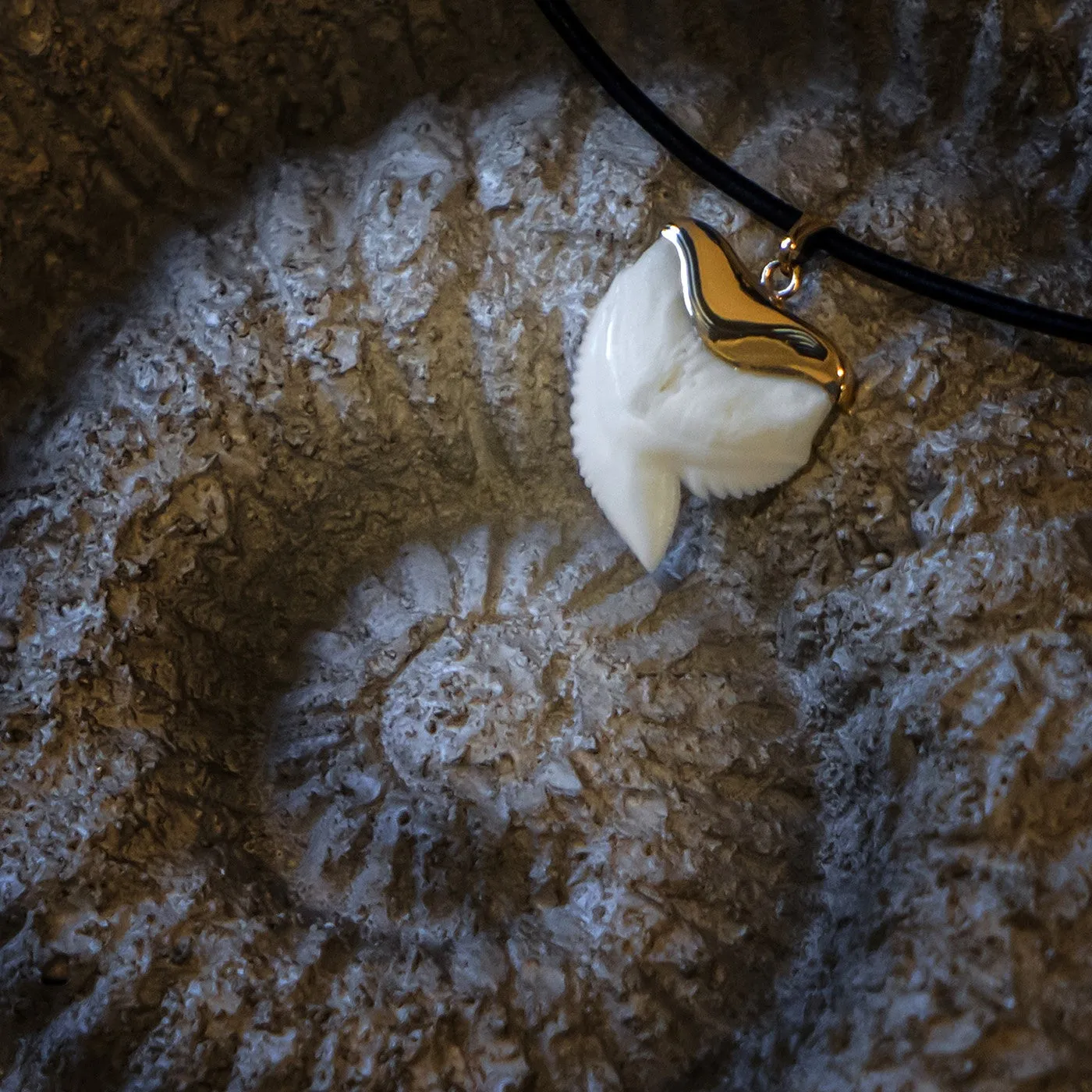 Tiger Shark Tooth Necklace Gold