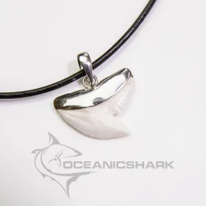 Tiger shark tooth necklace silver Oceanicshark s22